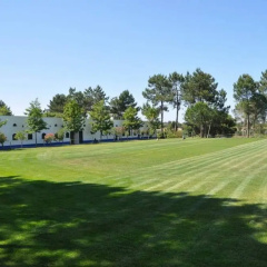 The Camp thumbnail 4
