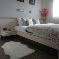 Apartment F10 Milmari Resort in Kopaonik, Serbia from 42$, photos, reviews - zenhotels.com photo 32