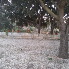 Ses Alzines Apartamento integrado en Casa Rural Habitada - Bild 13