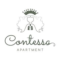 Contessa Apartment Cluj Napoca in Cluj-Napoca, Romania from 74$, photos, reviews - zenhotels.com photo 3