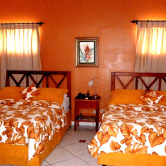 The Green Frog Inn in San Pedro Sula, Honduras from 75$, photos, reviews - zenhotels.com photo 29