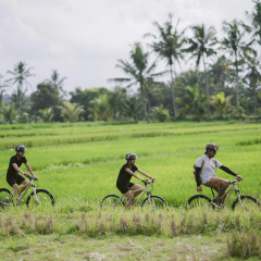 Alila Ubud. Bali - Bild 21