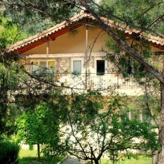 Dionysos Lodge - Bild 1