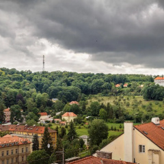 Hotel Golden Star - Bild 22