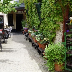 Weingut Haxel - Bild 3