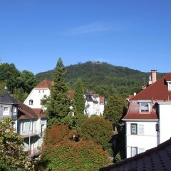 Lilienmatt Apartments - Bild 16