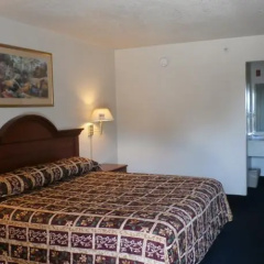 Hampton Bay Plaza & Suite thumbnail 5