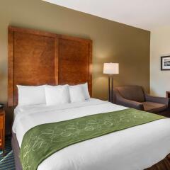 Comfort Suites Leesburg in Leesburg, United States of America from 153$, photos, reviews - zenhotels.com photo 12