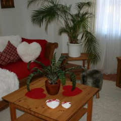 Gästehaus Viktoria - Bild 8