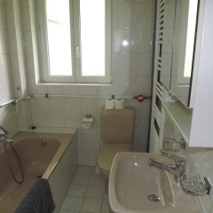 Swiss Star Eptingerstrasse - Bild 6