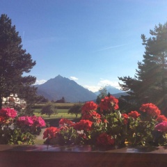 Pension Angelika - Bild 11
