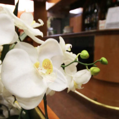 Hotel Lido - Bild 17