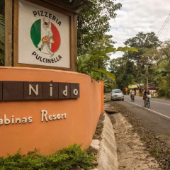 El Nido Jungle Lodge