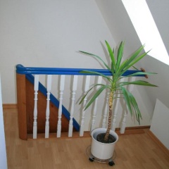 Fachwerkferienhaus Helmbrecht - Bild 2