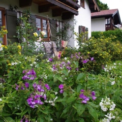 Ferienwohnung Haus Alpenrebe - Bild 6