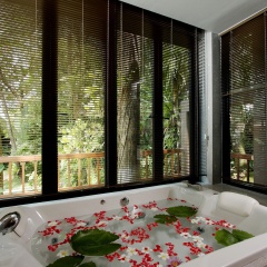 Khaolak Paradise Resort - Bild 18