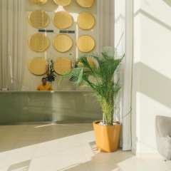 Hotel Nyx Cancun - Bild 16