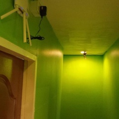 Papaya Guesthouse - Bild 12