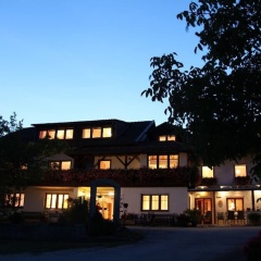 Pension Zum Ebenstein am Donausteig - Bild 1