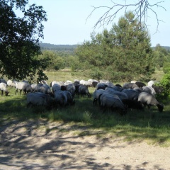 Helle Ferienwohnung im Roten Feld - Bild 11
