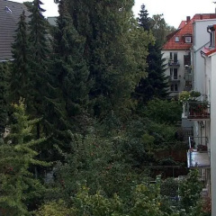 Peterswerder - Bild 1