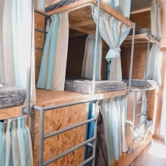Bee Hostel Paphos Кипр, Пафос - отзывы, цены и фото номеров - забронировать отель Bee Hostel Paphos онлайн фото 15