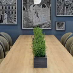 Radisson Hotel Graz - Bild 19