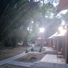 Jawa Jiwa G-land - Bild 18