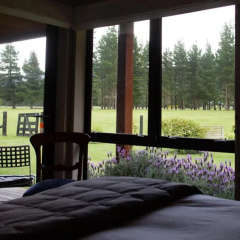 Woodbank Park Cottages thumbnail 4