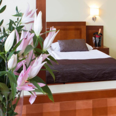 Luxury Family Hotel Bila Labut - Bild 7