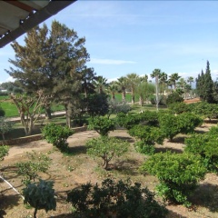 Finca Can Morei - Bild 14