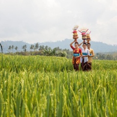 Kelapa Retreat & Spa - Bild 17