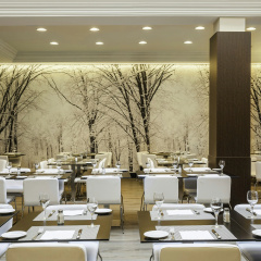 Hotel ILUNION Suites Madrid - Bild 26