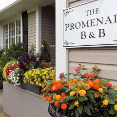 The Promenade thumbnail 18