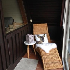 Ferienhaus am Rachental - Bild 6