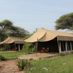 Mapito Tented Camp thumbnail 3