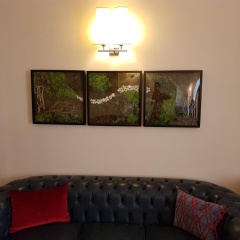 Kennedy Hotel - Bild 25