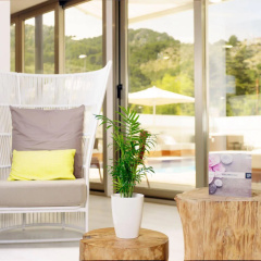 Hotel Boutique Minister - Bild 8