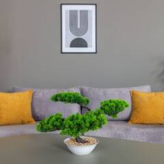 Appartement Luxueux à Hydra in Algiers, Algeria from 89$, photos, reviews - zenhotels.com photo 44