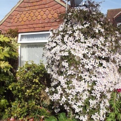March Cottage Bed And Breakfast thumbnail 11