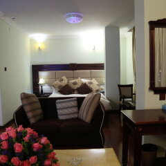 Trinity Hotel in Addis Ababa, Ethiopia from 147$, photos, reviews - zenhotels.com guestroom photo 3