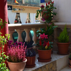 Hostal Mar Del Plata - Bild 13