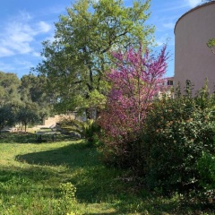 La Farigoule photo 2