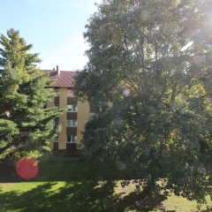 Private Apartment Wöhlerstraße - Bild 9