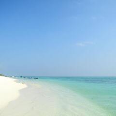 Amazing View in Thoddoo Atoll, Maldives from 102$, photos, reviews - zenhotels.com beach photo 4