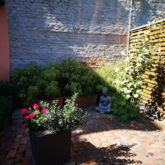 Ferienwohnung Junger-moritz IV - Bild 14