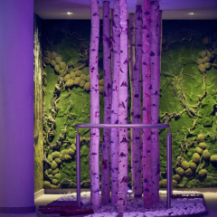 Hotel Rosenpark - Bild 7