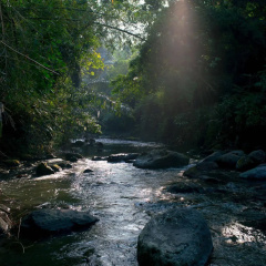 Villa Annapurna River View thumbnail 35
