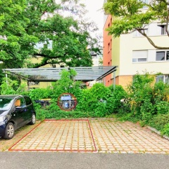 FeWo I An der Elbe zw. Alt-,und Neustadt - Bild 1