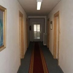Zimmerfrei - Bild 10